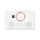 UHF RFID Dual Frequency Cards
